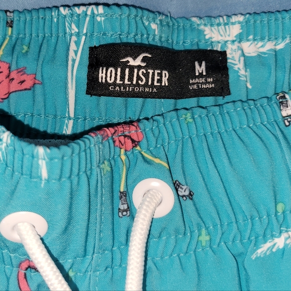 Hollister Swim Trunks - Picture 2 of 3